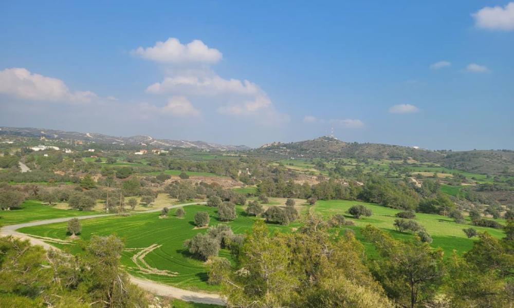 Panoramic